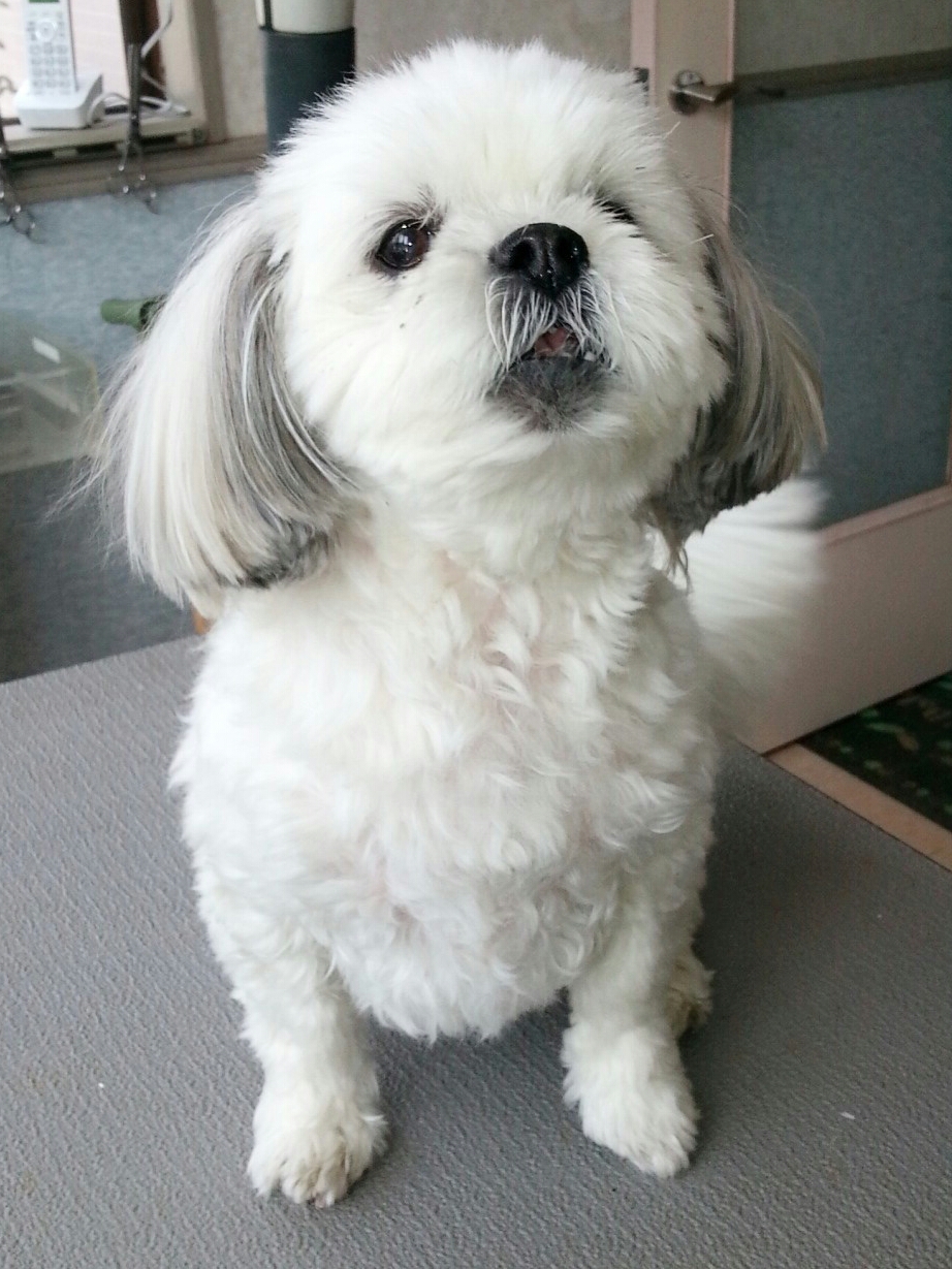 C360_2017-05-11-13-36-59-877-1