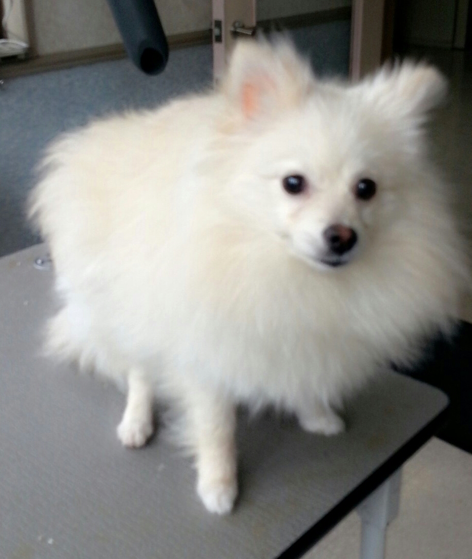 C360_2017-05-24-10-16-16-313-1