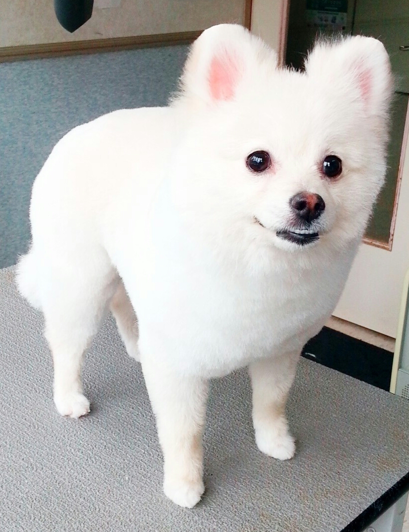 C360_2017-05-24-11-45-34-854-1